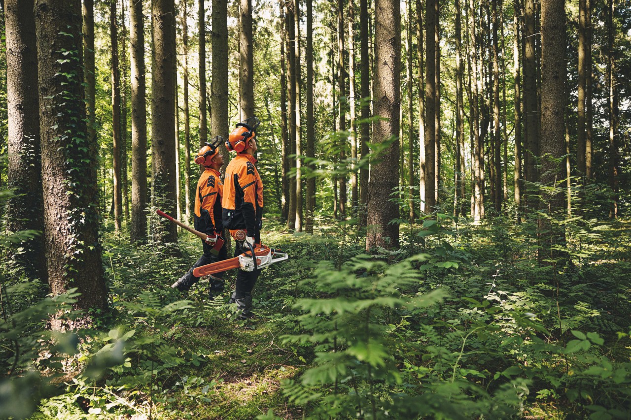 STIHL 历史